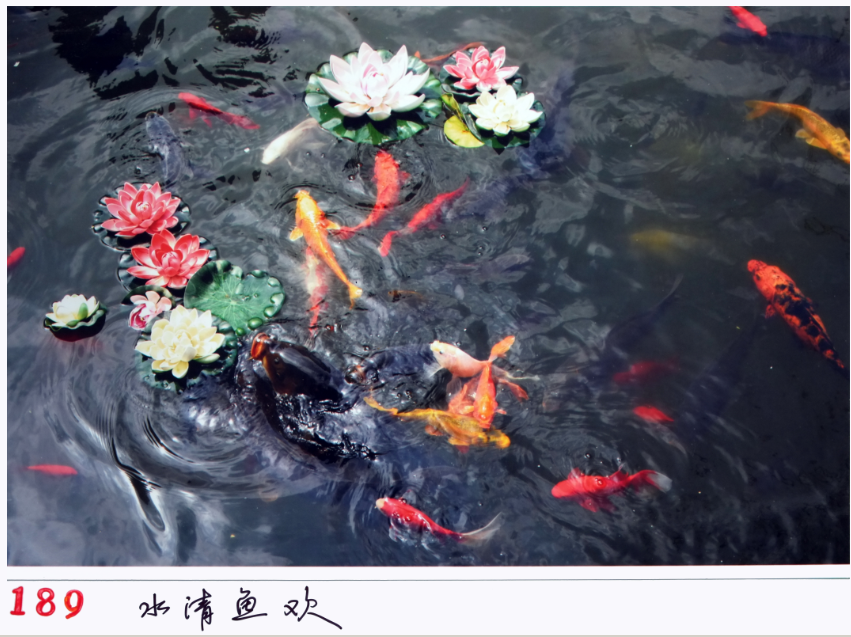 QQ截圖20170703111235.png